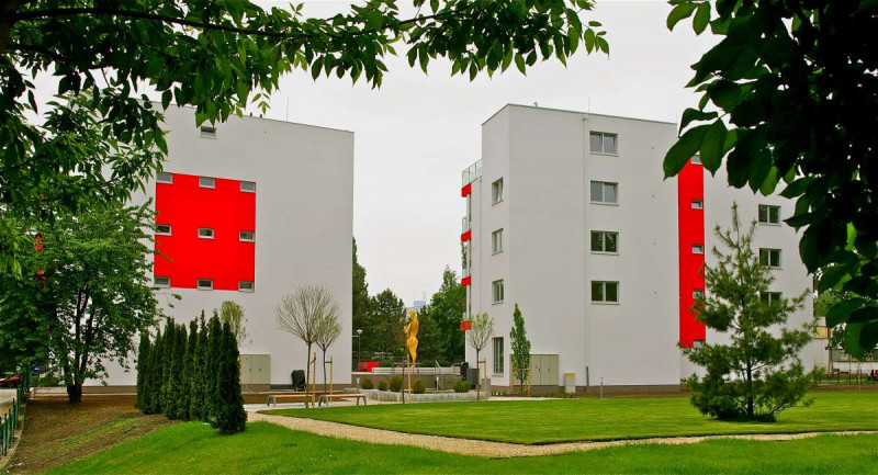 Jazzy Garden - obrázok 0